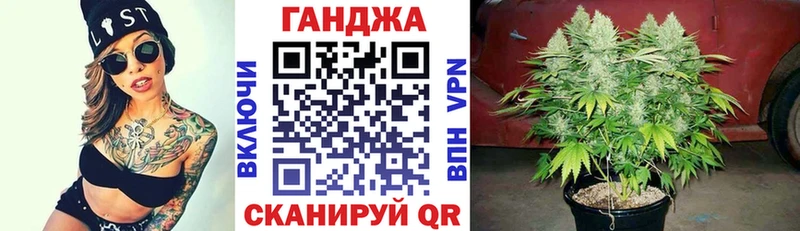 Бошки Шишки планчик  Калач 